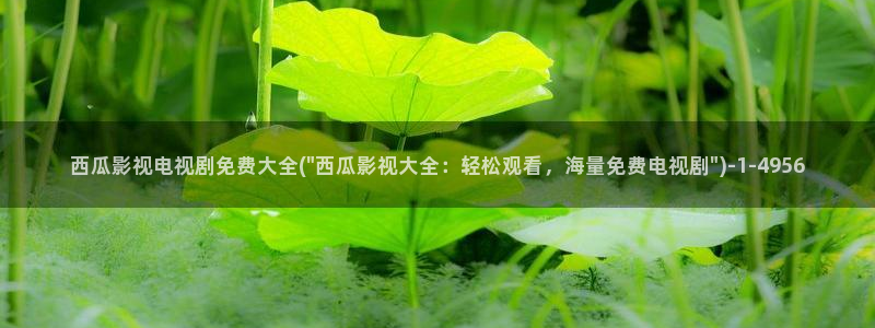 西瓜影院朴妮唛